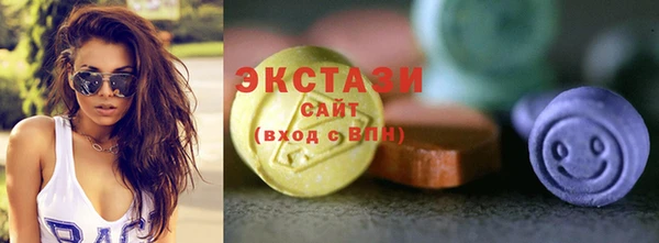 СК Ельня