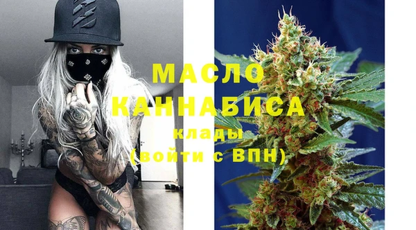СК Ельня