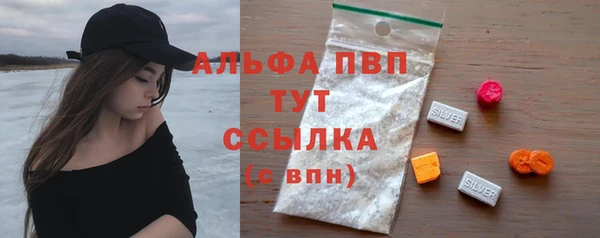 СК Ельня
