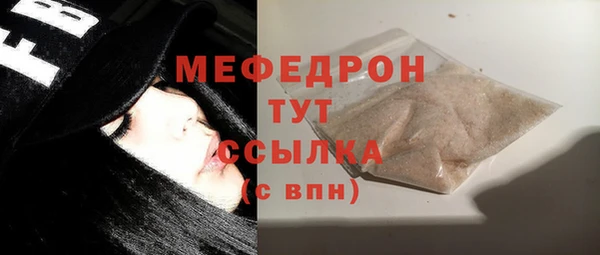 СК Ельня