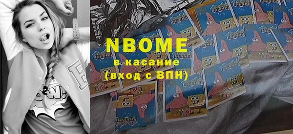 СК Ельня