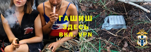 СК Ельня