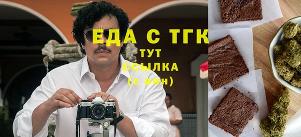 СК Ельня