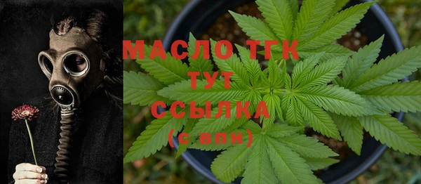 СК Ельня