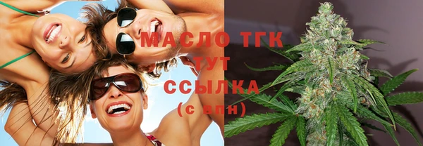 СК Ельня