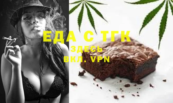 СК Ельня